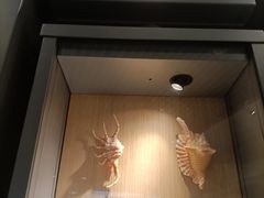 -中国湿地博物馆
