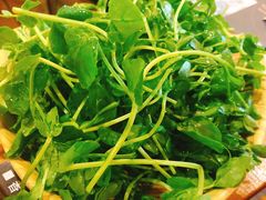 豆苗-牛品福潮汕牛肉火锅(旺庄店)