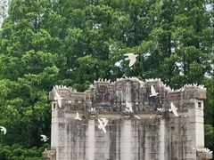 -澳门陈光记烧味饭店(南京德基广场店)