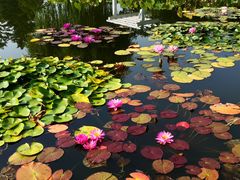 -国家植物园南园