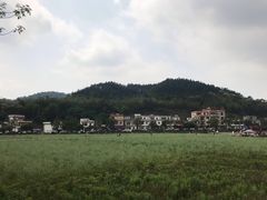 -红山村