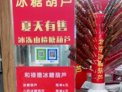 -和禄德冰糖葫芦