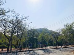 -水池山公园