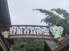 -野象谷景区