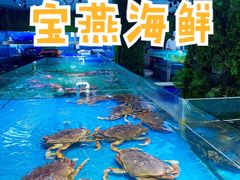 -宝燕海鲜(好爱店)