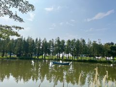 -森波拉奇妙世界