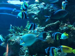 -成都浩海立方海洋公园