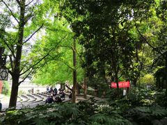 -成都市活水公园