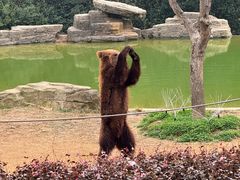 -杭州野生动物世界