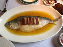 -老洋房花园饭店(绍兴路店)