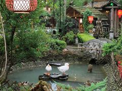 -青城甲(青城山店)