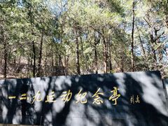 -国家植物园