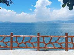 -七鲜渔港美食餐厅(巽寮湾海景店)