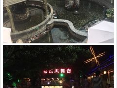 -一煲鸽