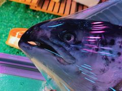 -渔人湾码头海鲜市场负二楼