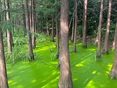 -云龙湖旅游景区