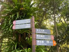 -深圳仙湖植物园