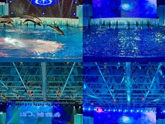 -海合安青岛极地海洋公园
