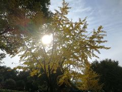 -苏州河梦清园环保主题公园