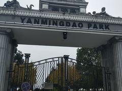 -燕鸣岛