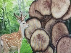 -顺兴老茶馆·精品川菜(世纪城店)