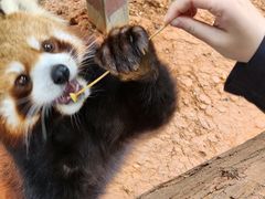 -云南野生动物园