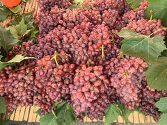 -三旗百汇商品城