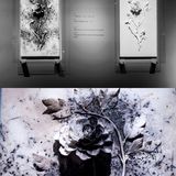 浦东美术馆 开馆大展