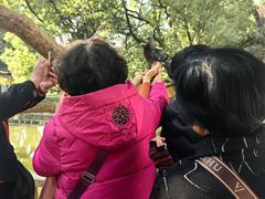 -西园寺素食(西园弄戒幢律寺店)