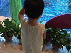 -海帆亲子游泳(茂业中心)