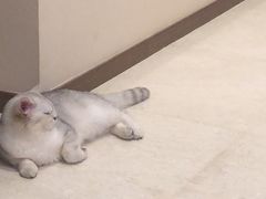 -笑云开汤包店(网巾市店)