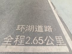-海珠湖公园
