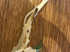 -杨国福麻辣烫(联合大学店)