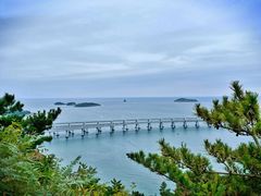 -星海湾跨海大桥