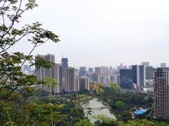 -板樟山森林公园
