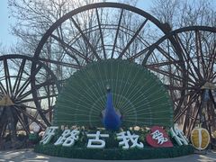 -呀路古热带植物园