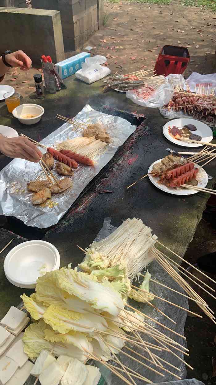 由由嘉园-"进去是不需要门票的,但是烧烤这块很坑爹,.