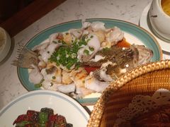 -大榕树下顺德菜(融创茂店)