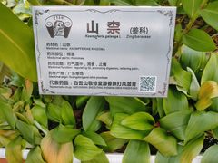 -广州神农草堂中医药博物馆