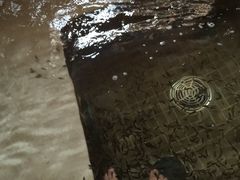 -中家鑫园温泉酒店鑫悦汤泉