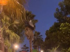 -重庆海昌加勒比海水世界
