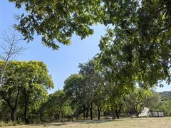 -北京西山国家森林公园