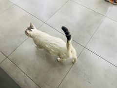 -弓舍射箭俱乐部(高新总店)