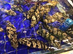 -79号渔船海鲜饭店(华强北店)