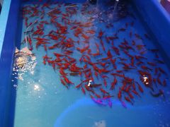 -东方之珠洗浴休闲广场(南开店)