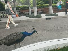 -J Create城市露营咖啡·简餐·宠物(上海动物园店)