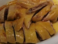 隔水蒸湛江鸡-金苑海鲜酒家(新港中路店)