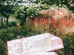 -鹅湖玫瑰文化园