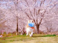 -星星奶冰·汤圆(甘肃路店)
