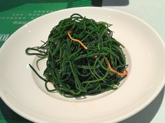 -新疆兵团食府清真(马连道店)